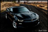 SpaceRider's Avatar