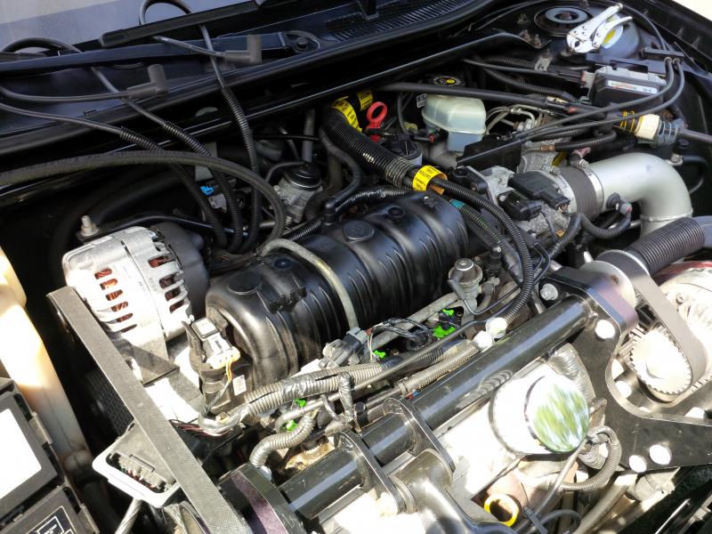 Name:  IMG_20140608_104448_zps535ebacf.jpg
Views: 91
Size:  100.5 KB