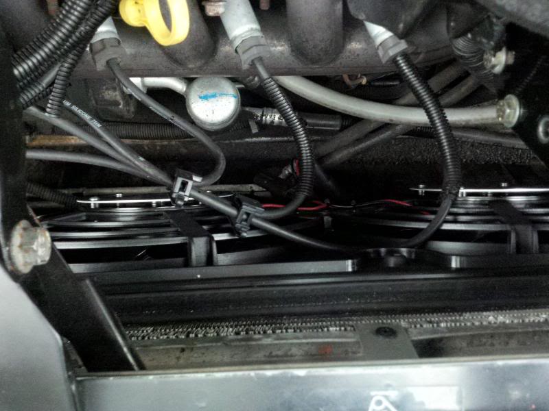 Name:  IMG_00000273_hdr_zps5b30ad46.jpg
Views: 119
Size:  66.3 KB