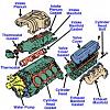 97' Z34 Overheating / Boiling over.. wicked bad!-engine-diagram.image.jpg