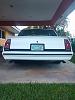 87 SS Build-monte-back.jpg