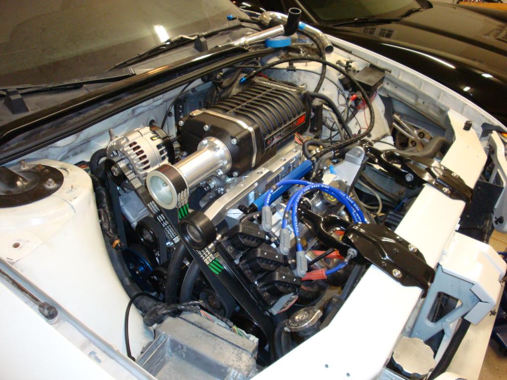 Name:  DSC02484_zpse5b2da5d.jpg
Views: 124
Size:  124.2 KB