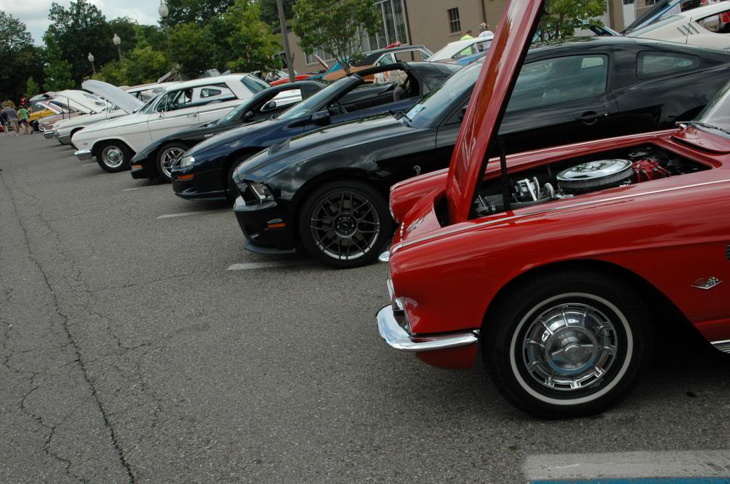 Name:  DSC_7403_zpsd71baed5.jpg
Views: 90
Size:  121.0 KB