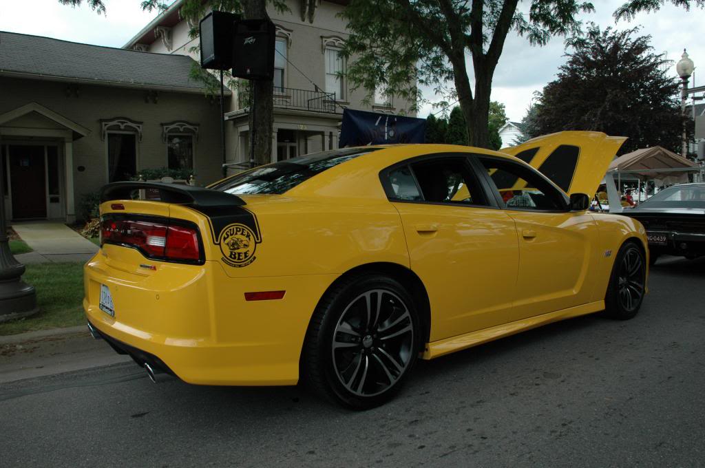 Name:  DSC_7417_zps1333f5a8.jpg
Views: 57
Size:  94.2 KB