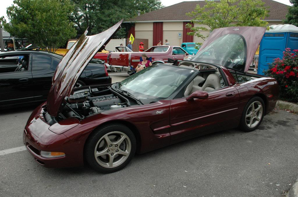 Name:  DSC_7382_zpse75f54be.jpg
Views: 98
Size:  120.9 KB