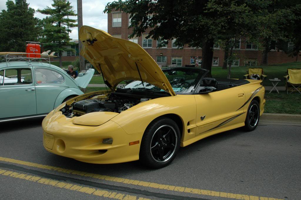 Name:  DSC_7351_zps5dade2a4.jpg
Views: 57
Size:  101.7 KB