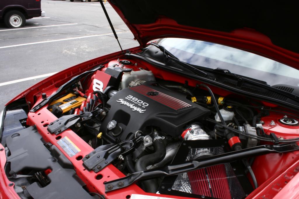 Name:  _MG_9581_zps10061446.jpg
Views: 17
Size:  97.4 KB