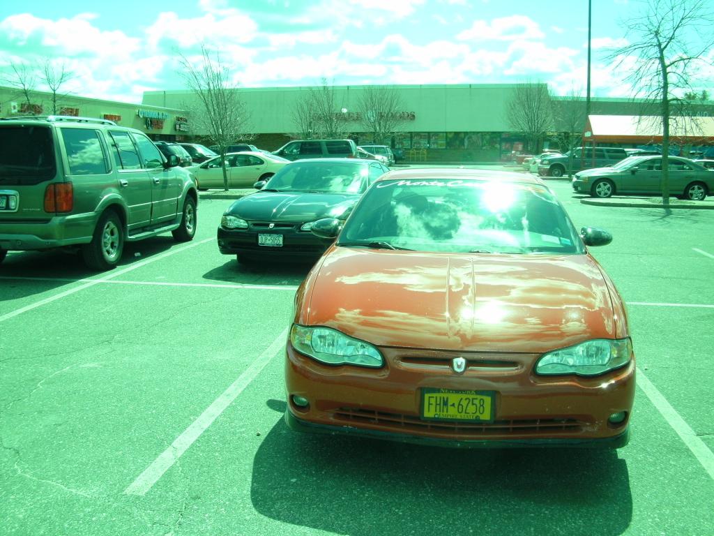 Name:  SANY0010_zpseb35fdab.jpg
Views: 18
Size:  130.8 KB