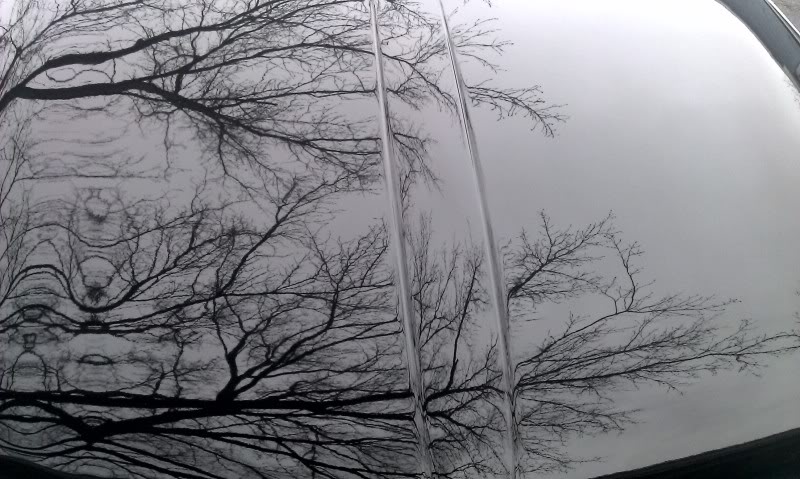 Name:  IMAG2196-1_zps4d111fbc.jpg
Views: 35
Size:  90.7 KB