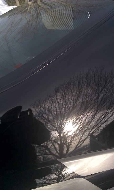 Name:  IMAG2209-1_zps96c3eb60.jpg
Views: 33
Size:  51.5 KB