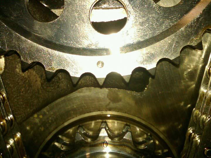 Name:  doubleroller6.jpg
Views: 230
Size:  72.4 KB