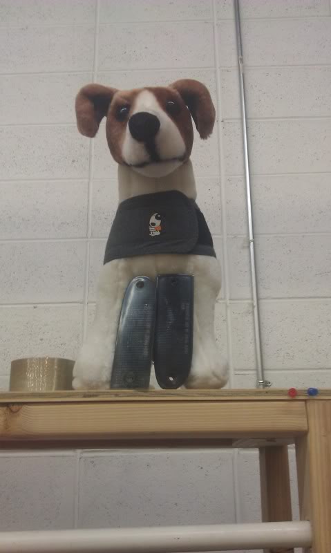 Name: IMAG1912_zps070936b9.jpg
Views: 100
Size: 35.2 KB