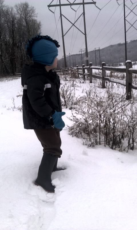 Name:  IMAG1734-1_zps143f0f2a.jpg
Views: 75
Size:  69.6 KB