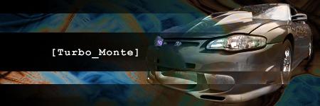 Name:  Turbo_MonteSig2.jpg
Views: 37
Size:  69.9 KB