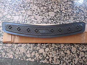 In serious need of a grille-dscf1726.jpg