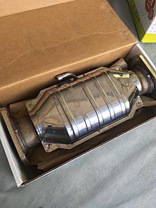 top bottom front back?-cat.jpg