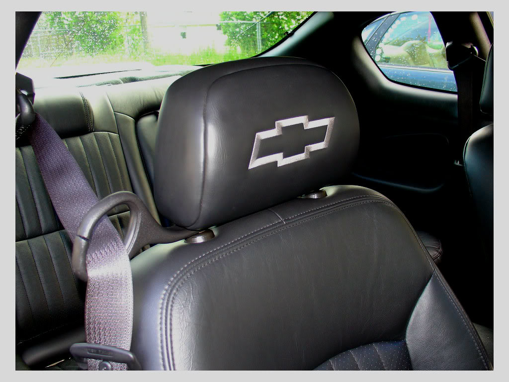 Name:  DSC03566-1.jpg
Views: 138
Size:  116.5 KB