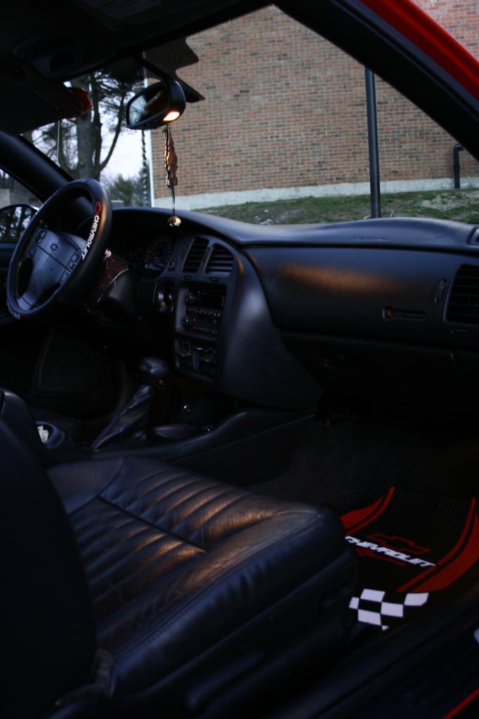 Name:  _MG_9037_zps93965aa5.jpg
Views: 229
Size:  59.4 KB