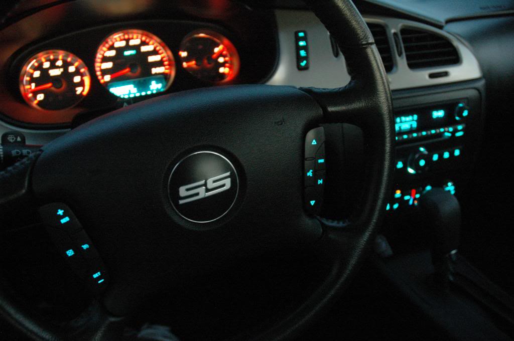 Name:  DSC_7322_zpsd0f9a5be.jpg
Views: 243
Size:  61.9 KB