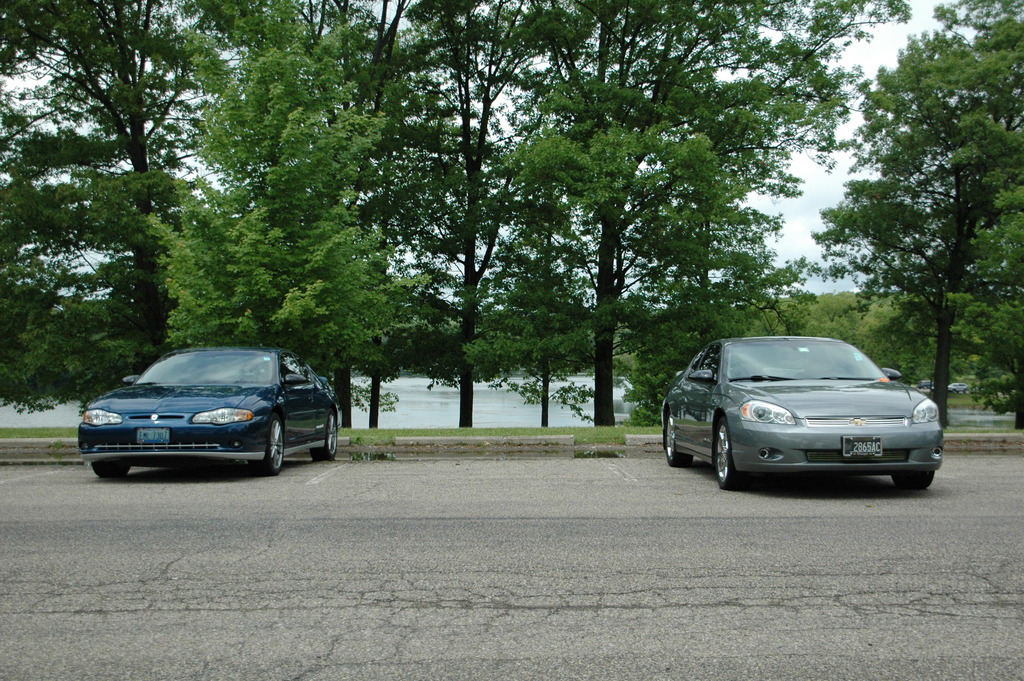 Name:  DSC_1863_zpsxouviwzf.jpg
Views: 146
Size:  379.1 KB