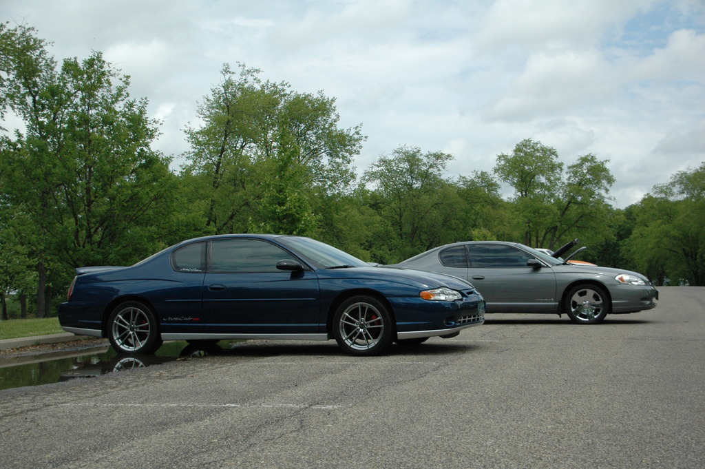 Name:  DSC_1864_zpsnhiq3h0a.jpg
Views: 56
Size:  271.1 KB