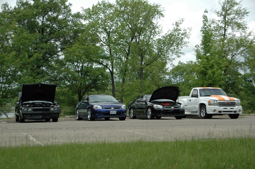 Name:  DSC_1866_zps6blst7x1.jpg
Views: 113
Size:  352.2 KB