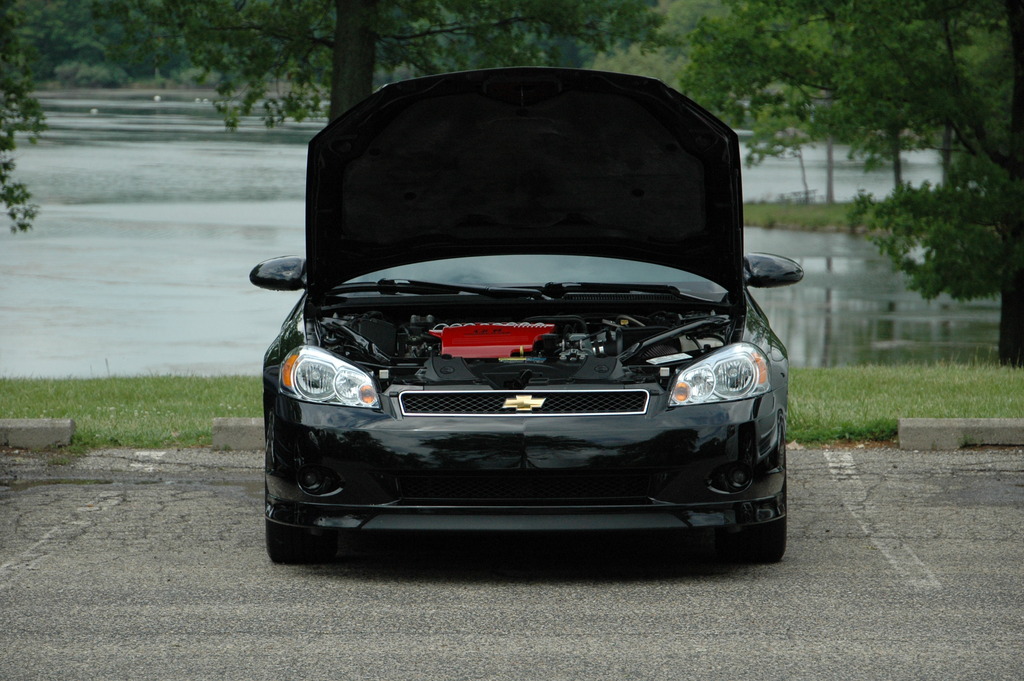 Name:  DSC_1868_zps1jlp8a7u.jpg
Views: 79
Size:  249.6 KB