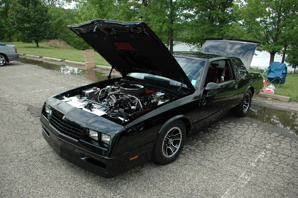 Name:  DSC_1869_zpsved5wcuu.jpg
Views: 58
Size:  339.8 KB