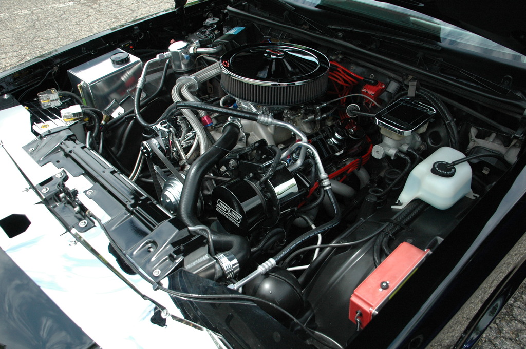 Name:  DSC_1870_zpsucv2hlpf.jpg
Views: 58
Size:  280.4 KB