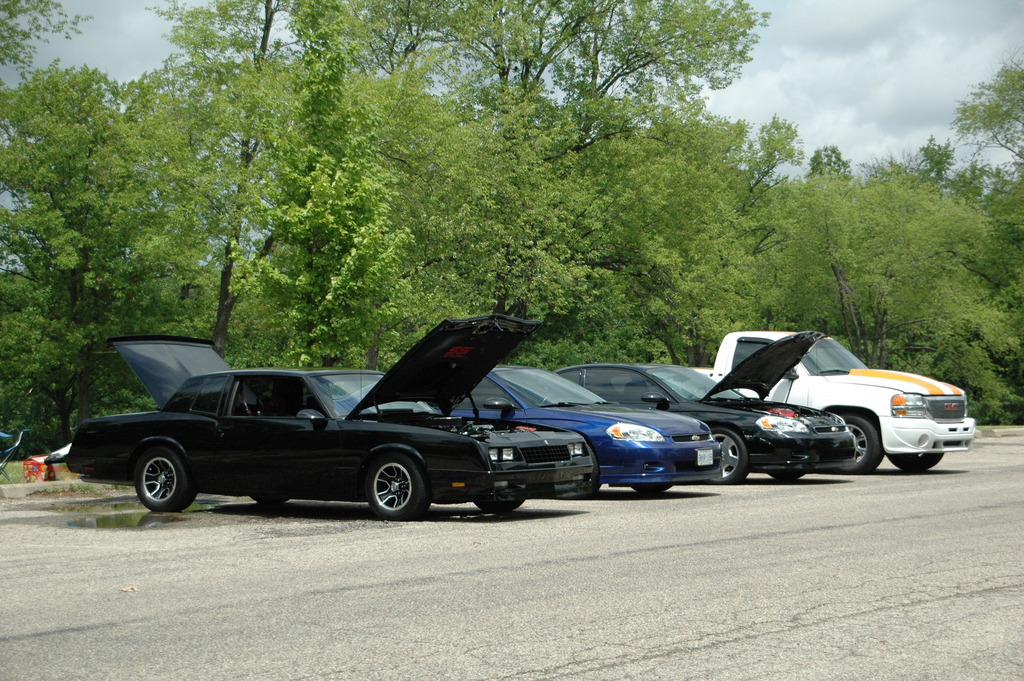 Name:  DSC_1874_zpsox9fq7wy.jpg
Views: 64
Size:  351.0 KB