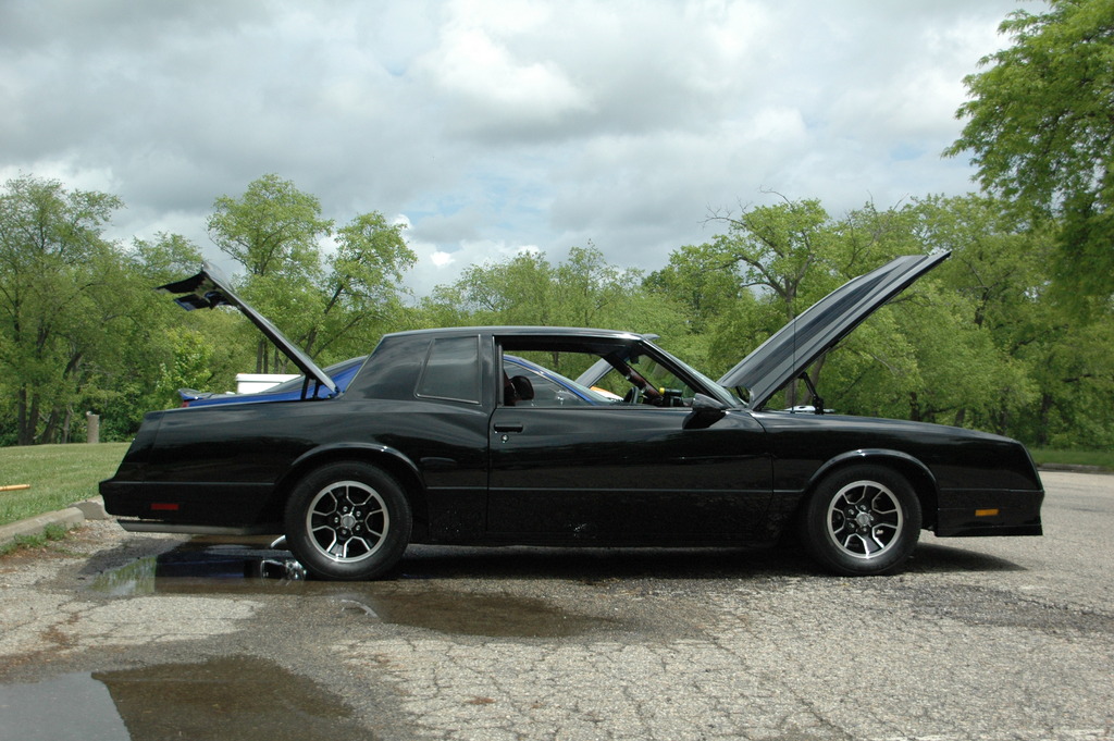 Name:  DSC_1877_zpsu7xwgk9r.jpg
Views: 61
Size:  267.6 KB