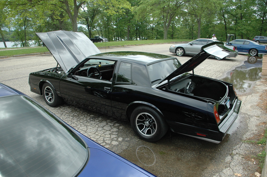 Name:  DSC_1883_zpscxzu2eyo.jpg
Views: 108
Size:  318.3 KB