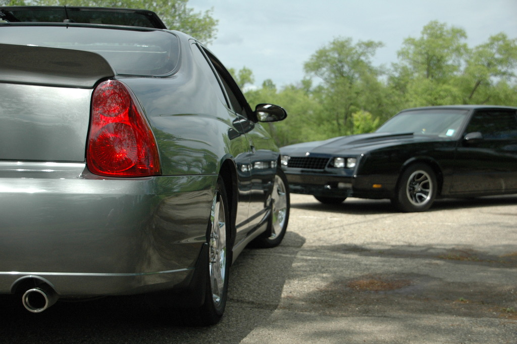 Name:  DSC_1893_zpsda32giue.jpg
Views: 70
Size:  201.2 KB