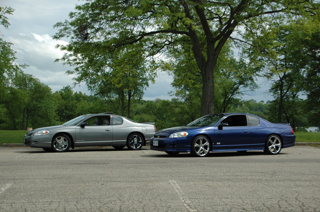 Name:  DSC_1898_zpspklsqpg5.jpg
Views: 69
Size:  347.6 KB