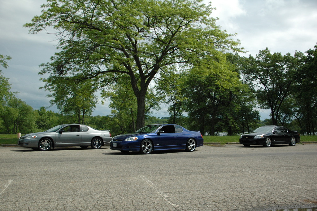 Name:  DSC_1908_zpsjtdn8fbi.jpg
Views: 107
Size:  346.7 KB