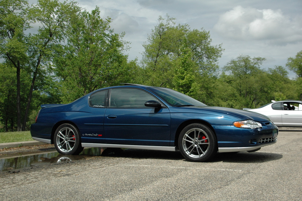 Name:  DSC_1912_zps2h3eiy73.jpg
Views: 108
Size:  313.7 KB