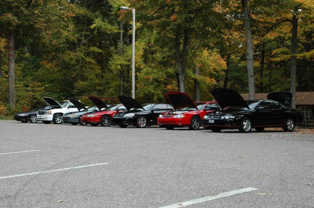 Name:  DSC_4443_zpseb1bf08c.jpg
Views: 9
Size:  141.1 KB
