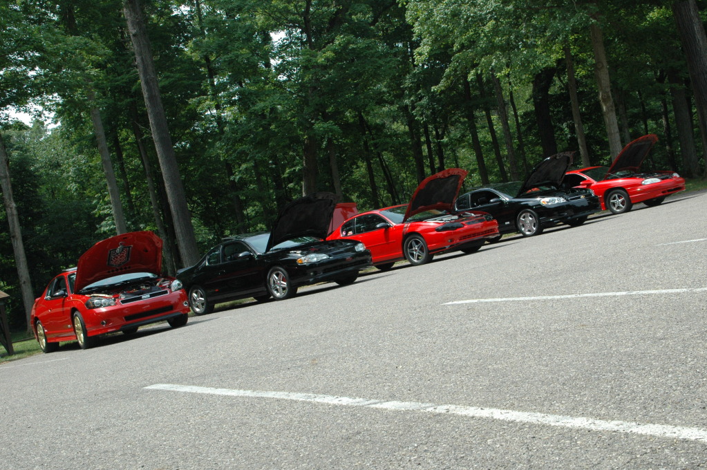 Name:  DSC_2719.jpg
Views: 9
Size:  318.3 KB
