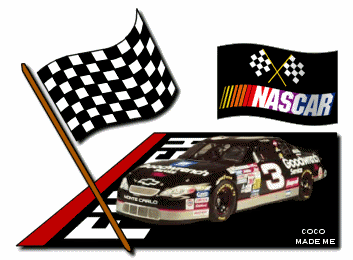 Name:  nascar3.gif
Views: 13
Size:  61.9 KB