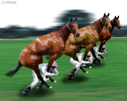 Name:  horserace.gif
Views: 19
Size:  117.4 KB