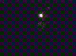 Name:  FireworksPompom2.gif
Views: 17
Size:  54.5 KB