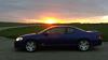 Newbie-img_20160324_102614.jpg