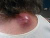 Monday, April 8, 2013-v__04dc.jpg