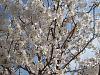 Tuesday, April 9th 2013-march-2012-007.jpg