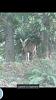 >How many days could you 'survive without >?-forumrunner_20131215_074010.jpg