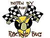 Saturday, 2/7/2015 >Check In<-racebug1.jpg