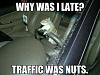 Some funnies!!-squirrel-traffic-nuts.jpg