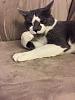 Wednesday, May 2015 >Happy Wednesday<-11118120_10153264068831346_5093525741603065332_n.jpg