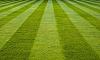 Ask the next person a question.-manicured-lawn1.jpg