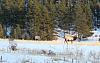 Monday, January 4, 2016-img_0702x.jpg